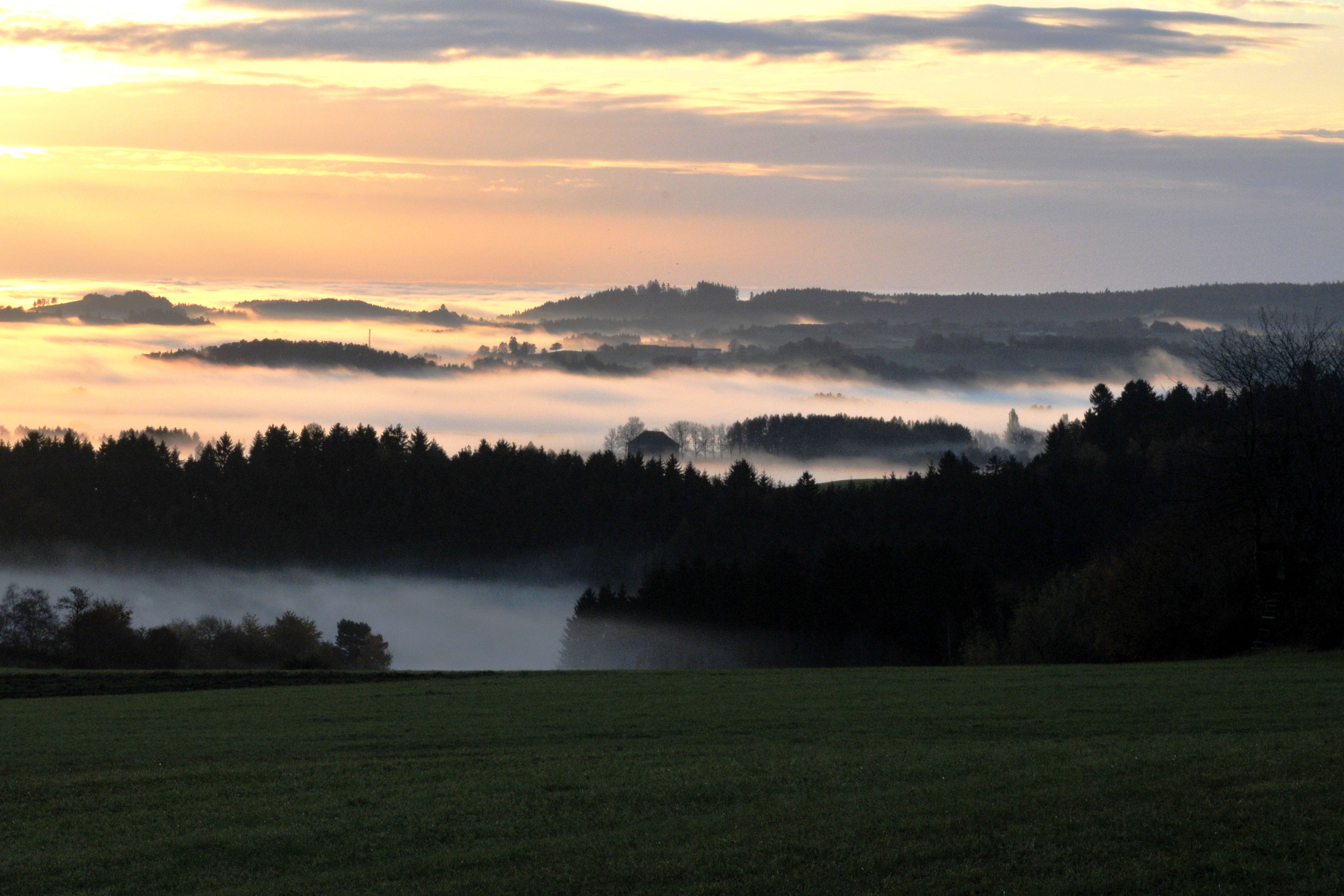 __waldviertel